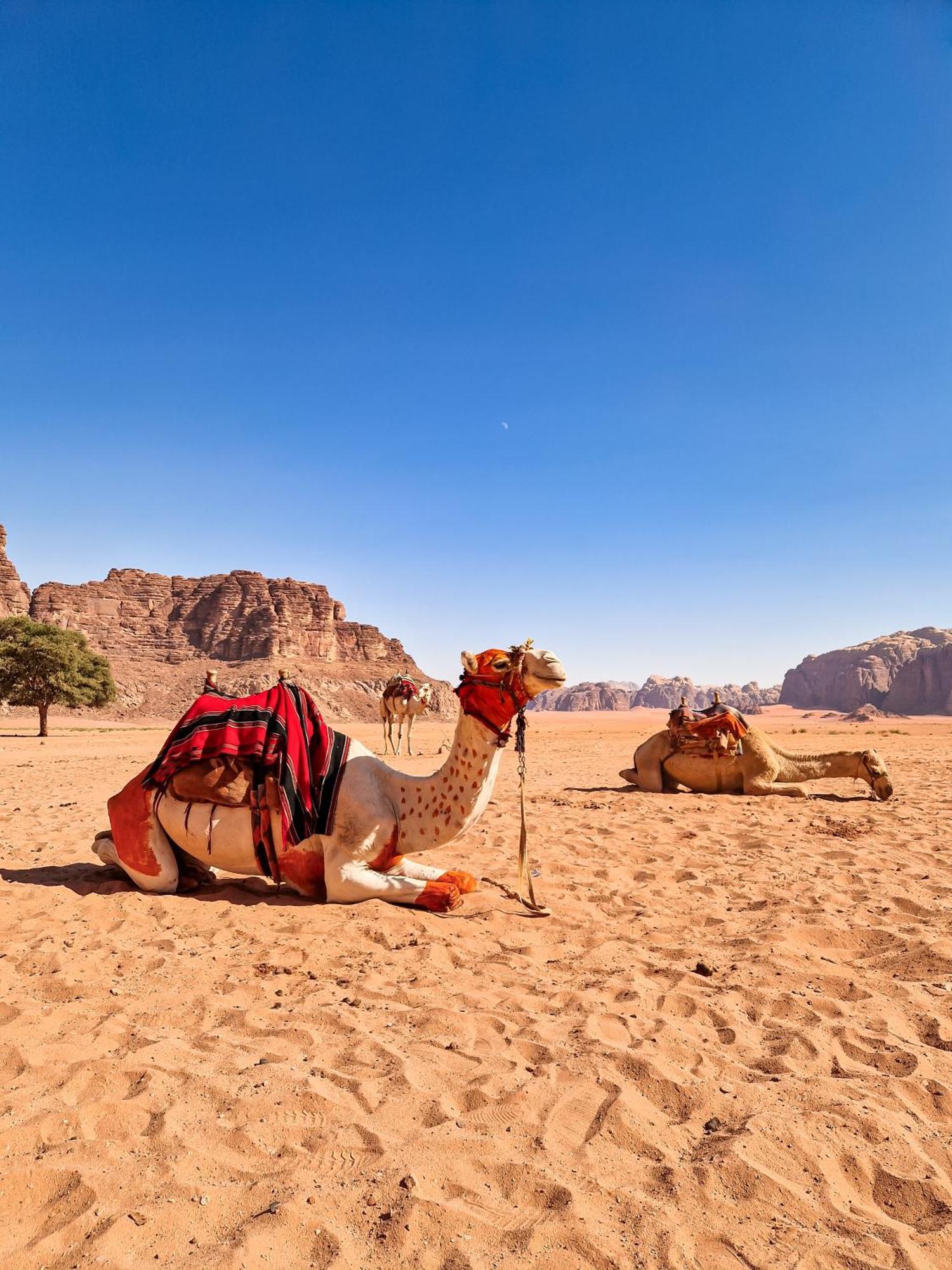 Star City Camp Wadirum Вади Рум Екстериор снимка